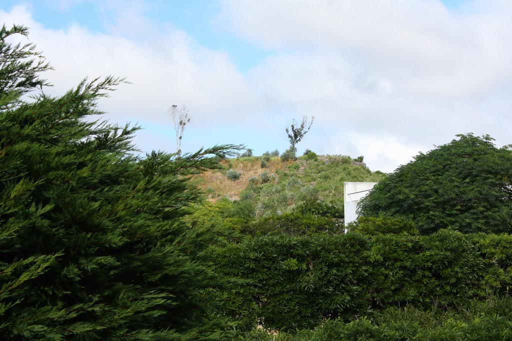 Apartamento Mar E Serra Ponta Delgada Eksteriør bilde